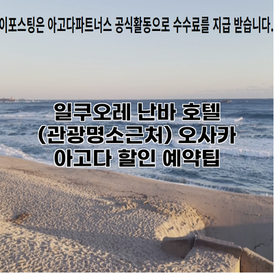 일쿠오레 난바 호텔 (관광명소근처) 오사카 아고다 할인 예약팁