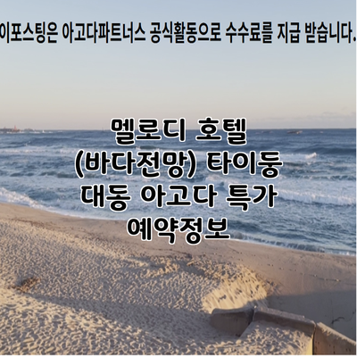 멜로디 호텔 (바다전망) 타이둥 대동 아고다 특가 예약정보