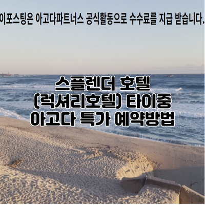 스플렌더 호텔 (럭셔리호텔) 타이중 아고다 특가 예약방법