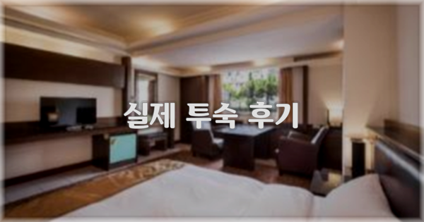 💬 실제 투숙 후기