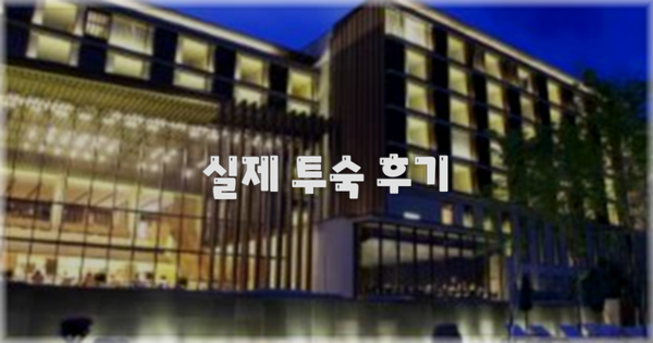 💬 실제 투숙 후기